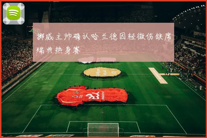 挪威主帅确认哈兰德因轻微伤缺席瑞典热身赛
