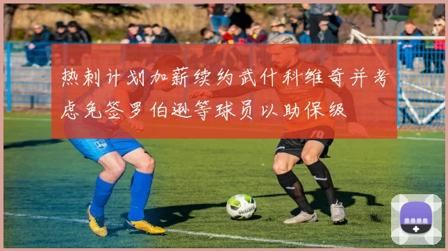热刺计划加薪续约武什科维奇并考虑免签罗伯逊等球员以助保级
