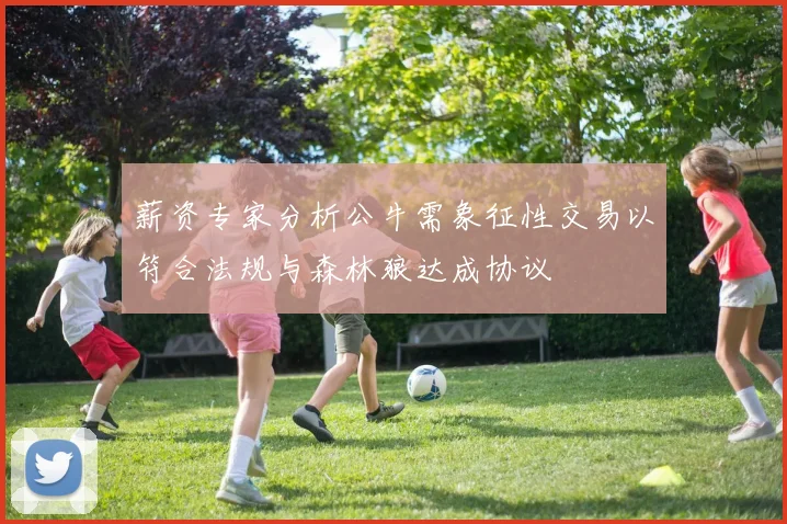 薪资专家分析公牛需象征性交易以符合法规与森林狼达成协议